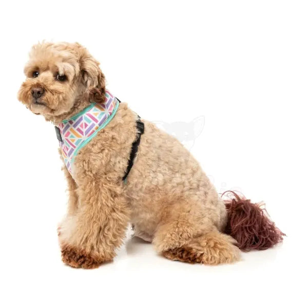 Bubblegum Burst Dog Harness by Fuzzyard - Fuzzyard - 4