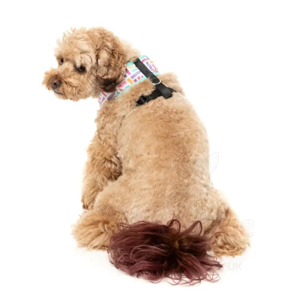 Bubblegum Burst Dog Harness by Fuzzyard - Fuzzyard - 5