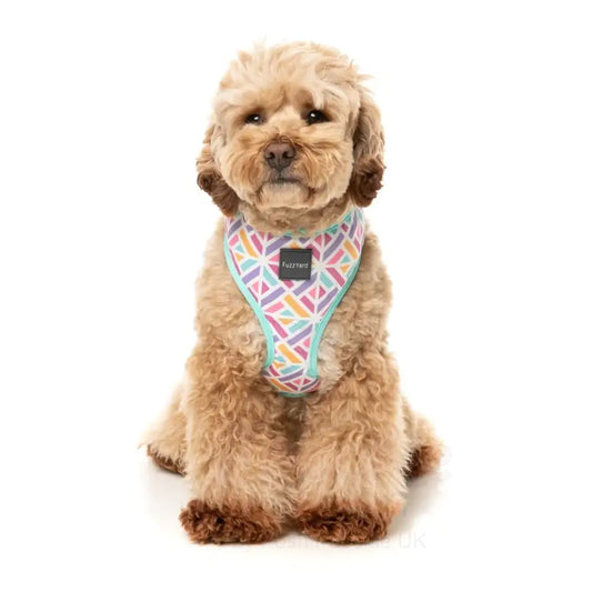 Bubblegum Burst Dog Harness by Fuzzyard - Fuzzyard - 2