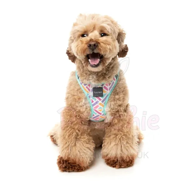 Bubblegum Burst Step in Dog Harness by Fuzzyard Fuzzyard 5