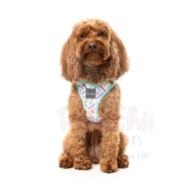 Bubblegum Burst Step in Dog Harness by Fuzzyard Fuzzyard 8