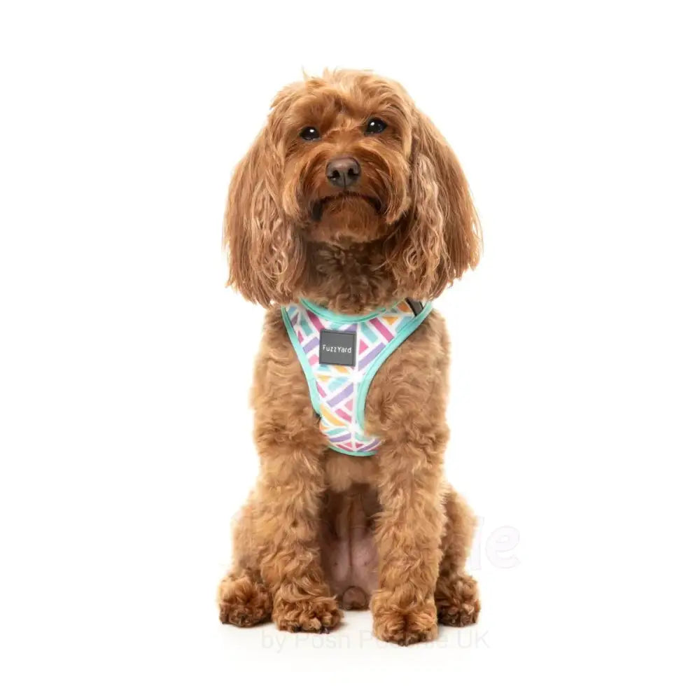 Bubblegum Burst Step in Dog Harness by Fuzzyard - Fuzzyard - 8