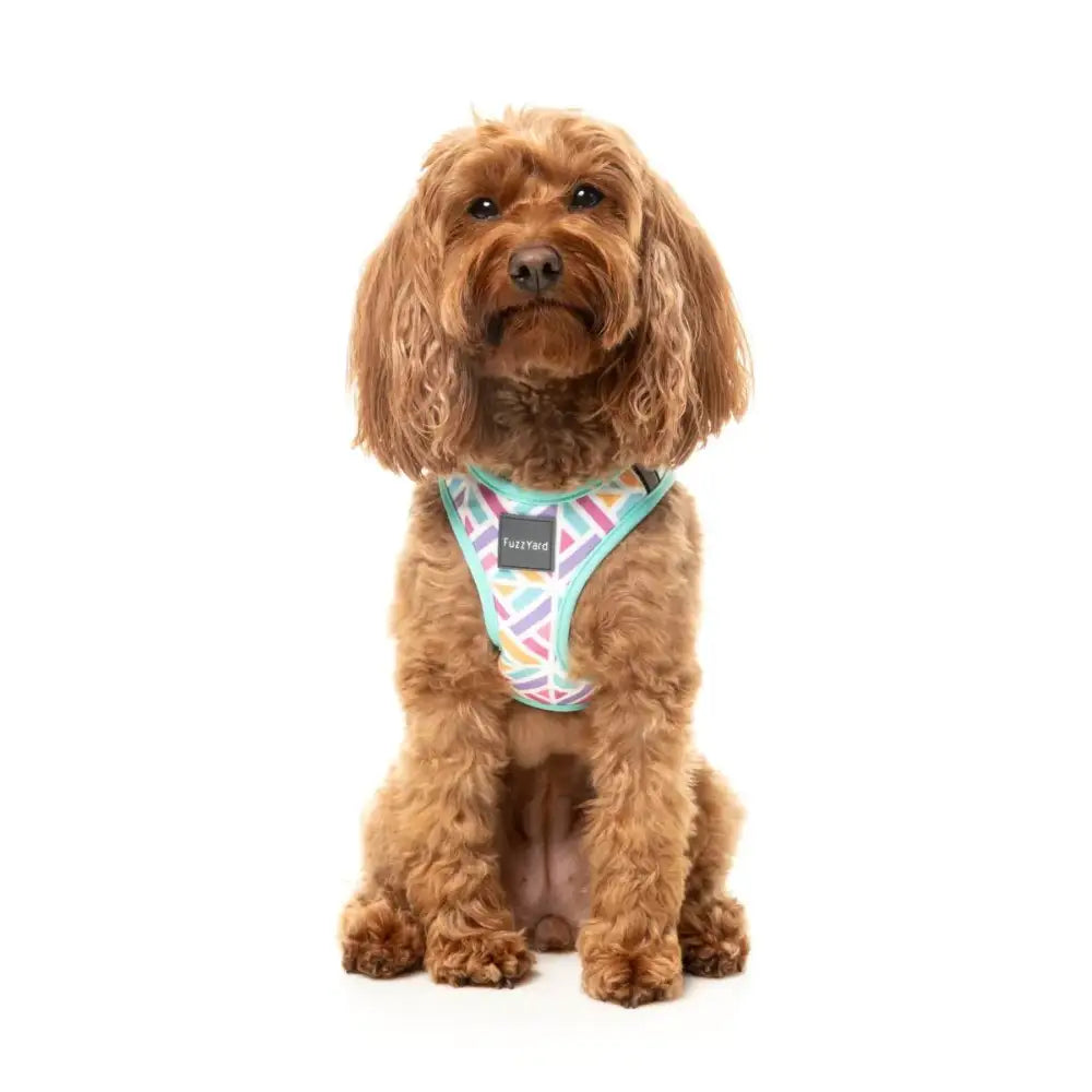 Bubblegum Burst Step in Dog Harness by Fuzzyard - Fuzzyard - 8