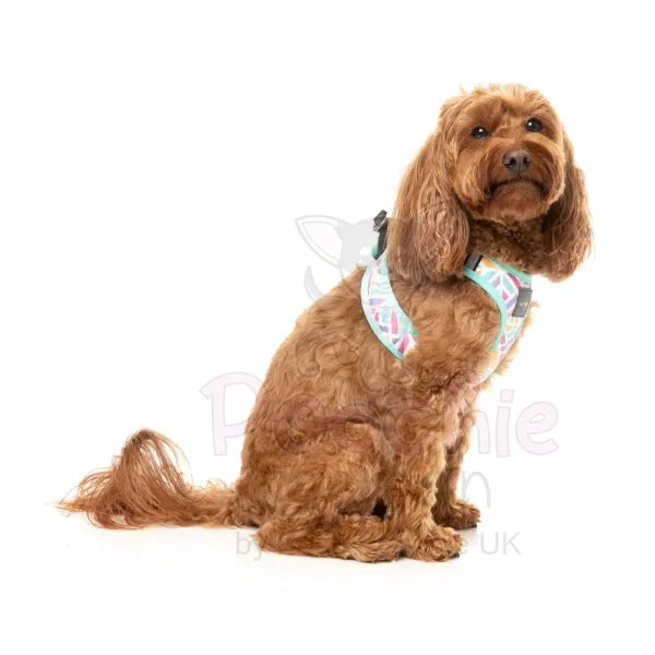 Bubblegum Burst Step in Dog Harness by Fuzzyard Fuzzyard 7