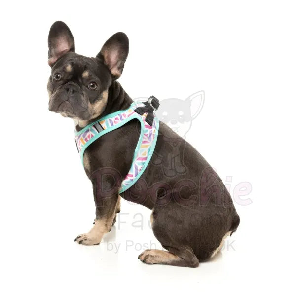 Bubblegum Burst Step in Dog Harness by Fuzzyard Fuzzyard 4