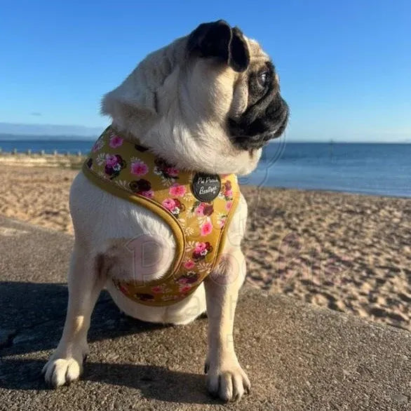 Buttercup Yellow Vintage Peonies Dog Harness - Pet Pooch - 4