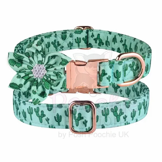 Cactus Padded Dog Collar with Flower - Posh Pawz - 2