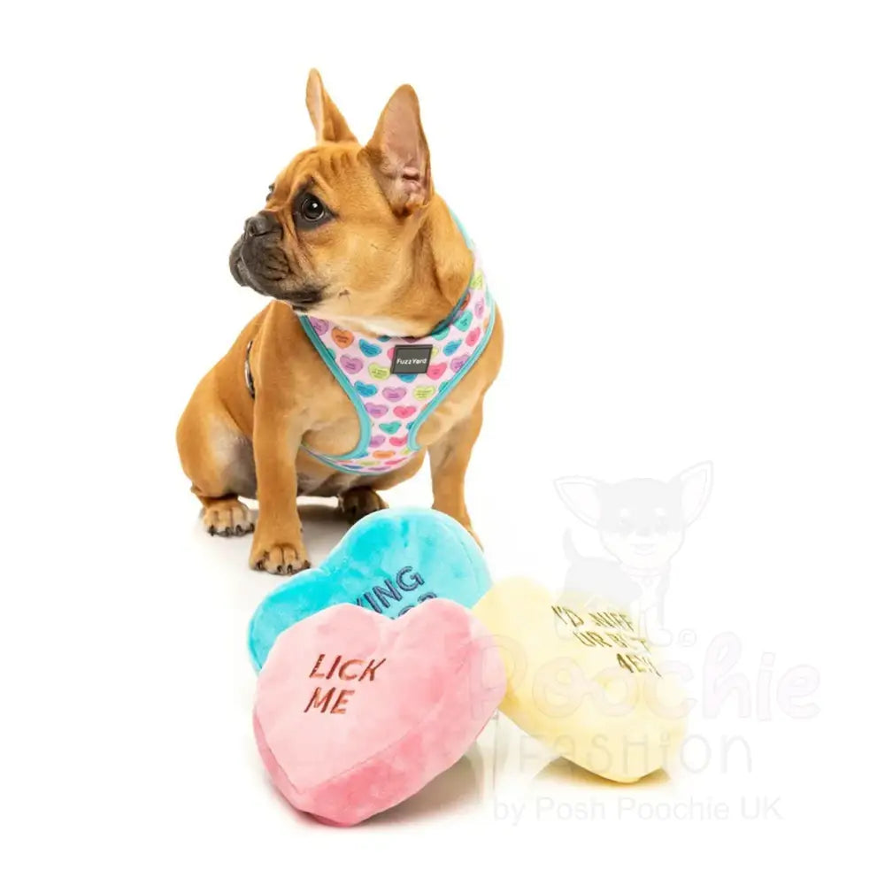 Candy Hearts 3 Pack Dog Toy by Fuzzyard - Fuzzyard - 5