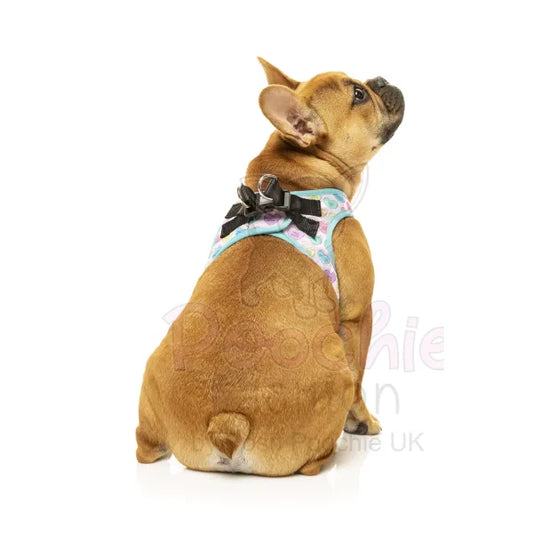 Candy Hearts Step in Dog Harness by Fuzzyard Fuzzyard 4