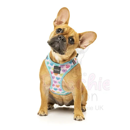 Candy Hearts Step in Dog Harness by Fuzzyard Fuzzyard 2