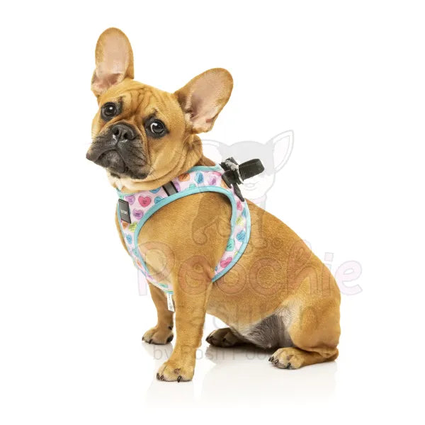 Candy Hearts Step in Dog Harness by Fuzzyard Fuzzyard 5