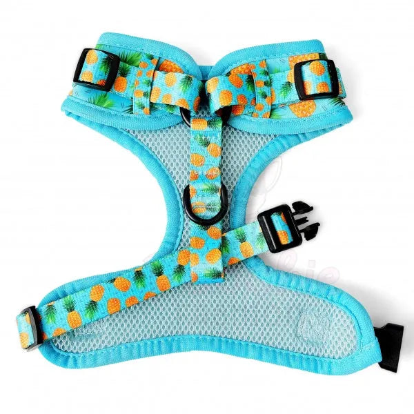 Caribbean Adjustable Dog Harness - Piggie - 2
