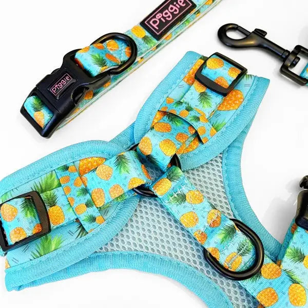 Caribbean Adjustable Neck Dog Harness - Piggie - 6