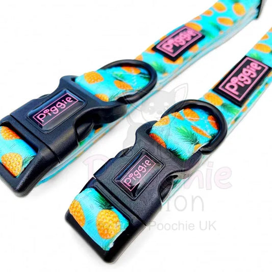 Caribbean Dog Collar Piggie 2
