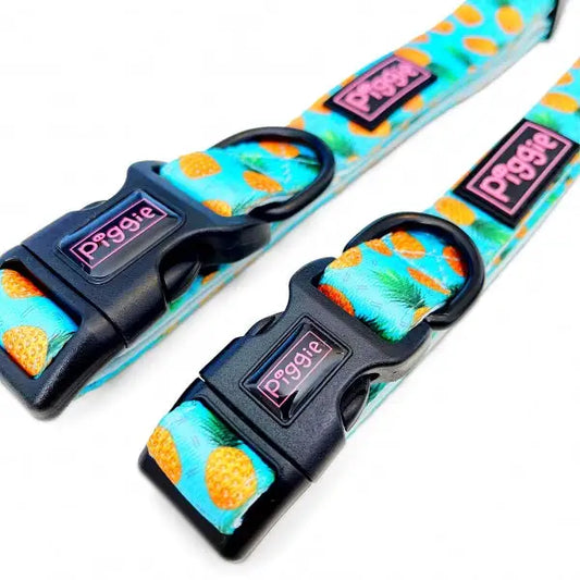 Caribbean Dog Collar - Piggie - 2