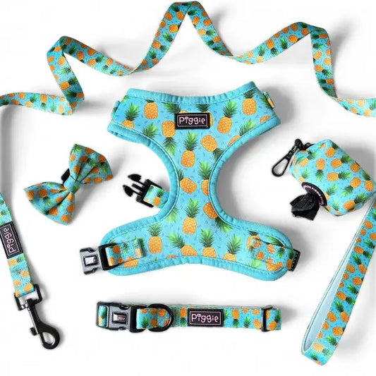 Caribbean Dog Poop Bag Holder - Piggie - 2