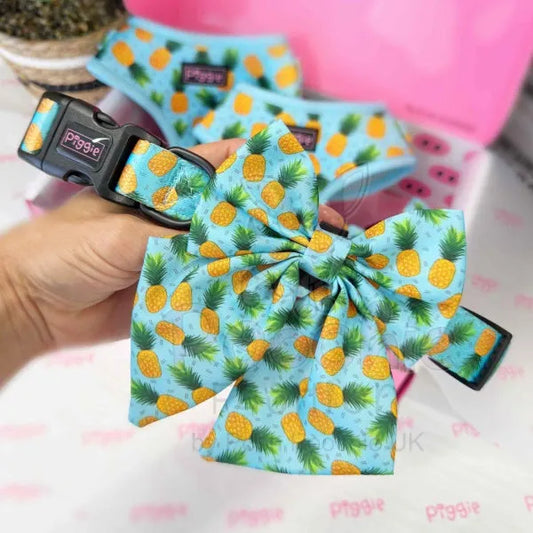 Caribbean Dog Sailor Bow Tie Piggie 2