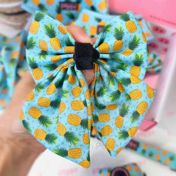 Caribbean Dog Sailor Bow Tie Piggie 3