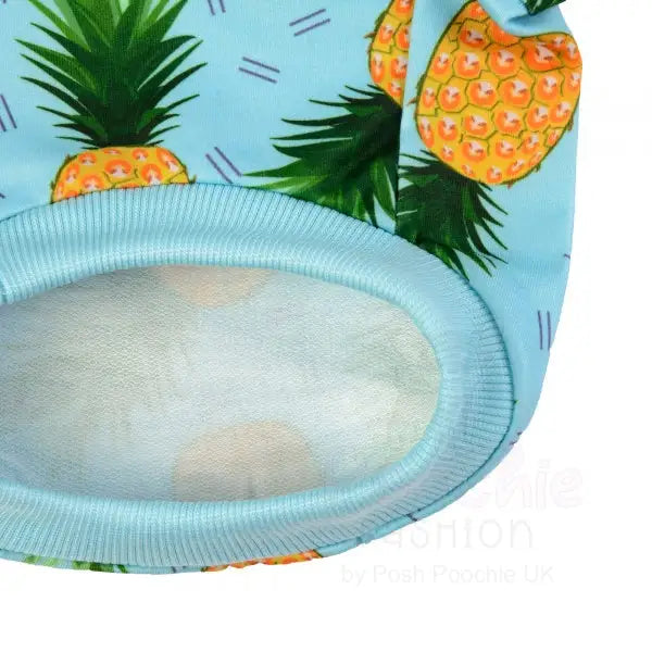 Caribbean Dog Sweatshirt - Rich Paw - 3