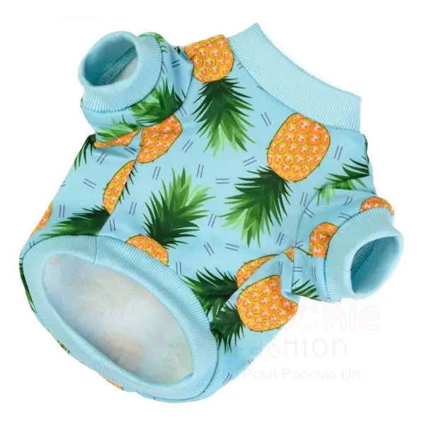 Caribbean Dog Sweatshirt - Rich Paw - 2