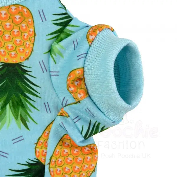 Caribbean Dog Sweatshirt - Rich Paw - 4