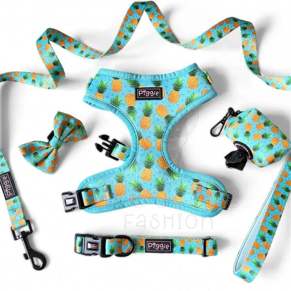 Caribbean Tie on Dog Bandana - Piggie - 3