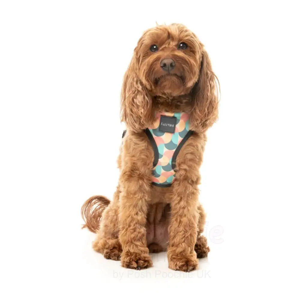 Carioca Dog Harness by Fuzzyard - Fuzzyard - 6