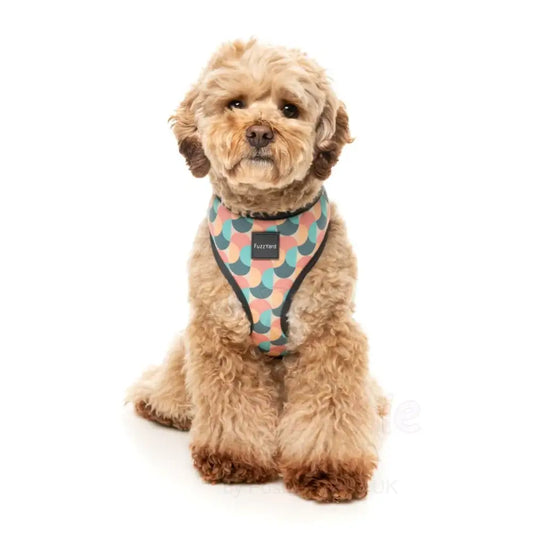 Carioca Dog Harness by Fuzzyard - Fuzzyard - 2