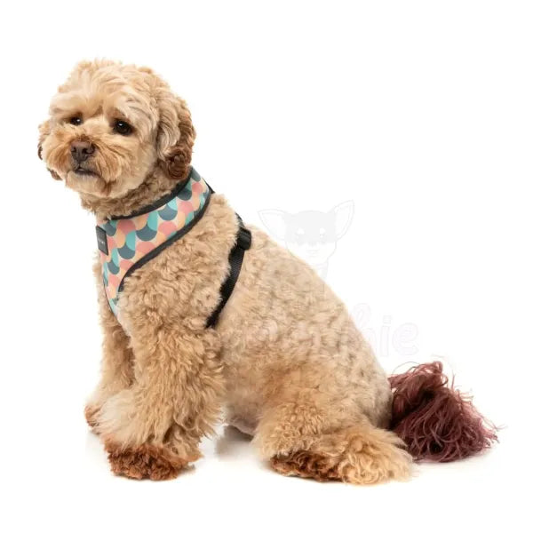 Carioca Dog Harness by Fuzzyard - Fuzzyard - 4