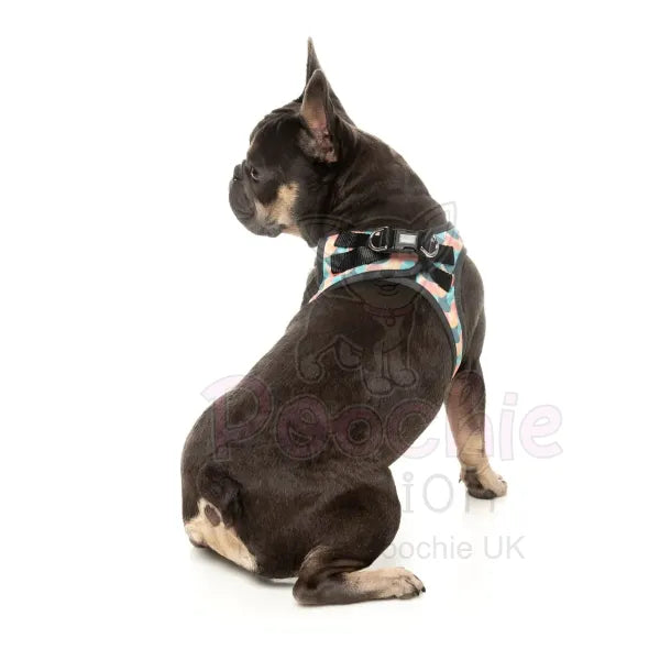 Carioca Step in Dog Harness by Fuzzyard Fuzzyard 4