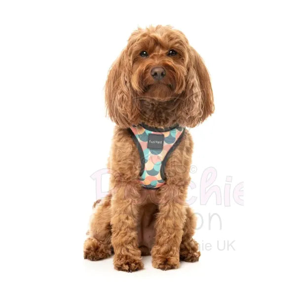 Carioca Step in Dog Harness by Fuzzyard Fuzzyard 5