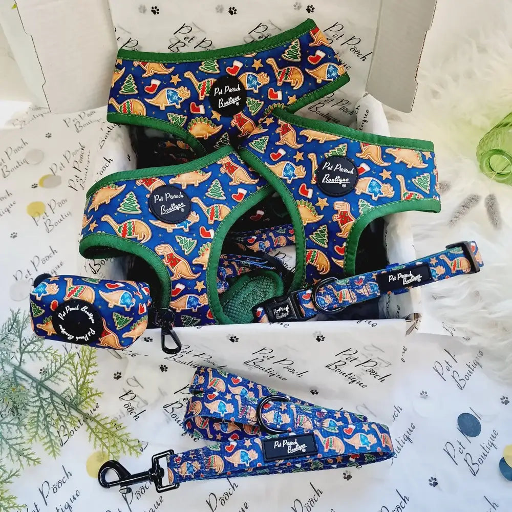 Christmas Dino Rawr Dog Lead - Pet Pooch - 2