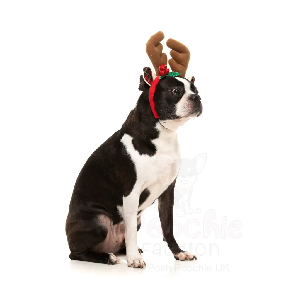 Christmas Dog Reindeer Antlers by Fuzzyard - Fuzzyard - 3