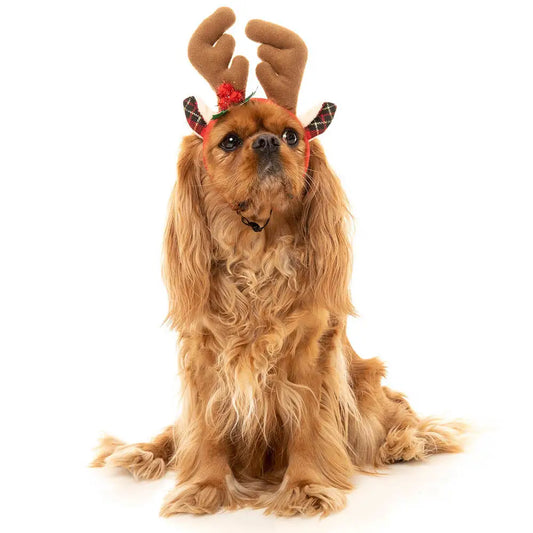 Christmas Dog Reindeer Antlers by Fuzzyard - Fuzzyard - 2