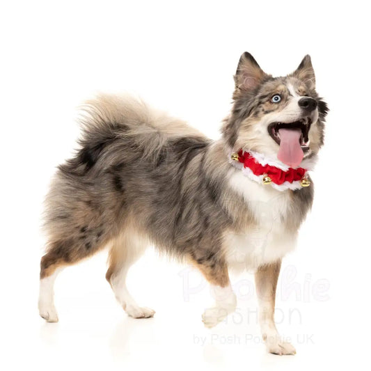 Christmas Jingle Bells Collar by Fuzzyard - Fuzzyard - 2