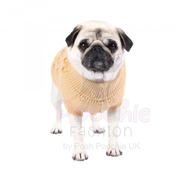Chunky Cable Knit Dog Jumper in Beige - Rich Paw - 6