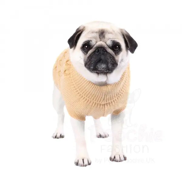 Chunky Cable Knit Dog Jumper in Beige - Rich Paw - 6