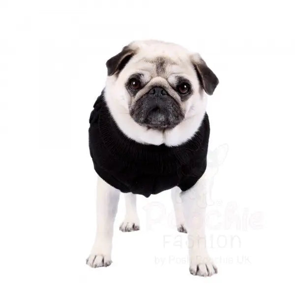 Chunky Cable Knit Dog Jumper in Black - Rich Paw - 6