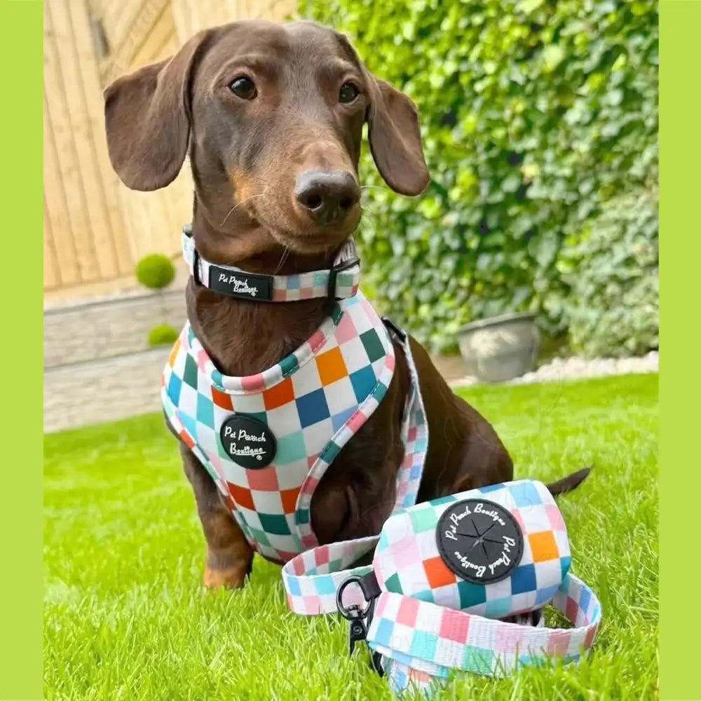Chunky Checks Dog Poo Bag Holder - Pet Pooch - 2