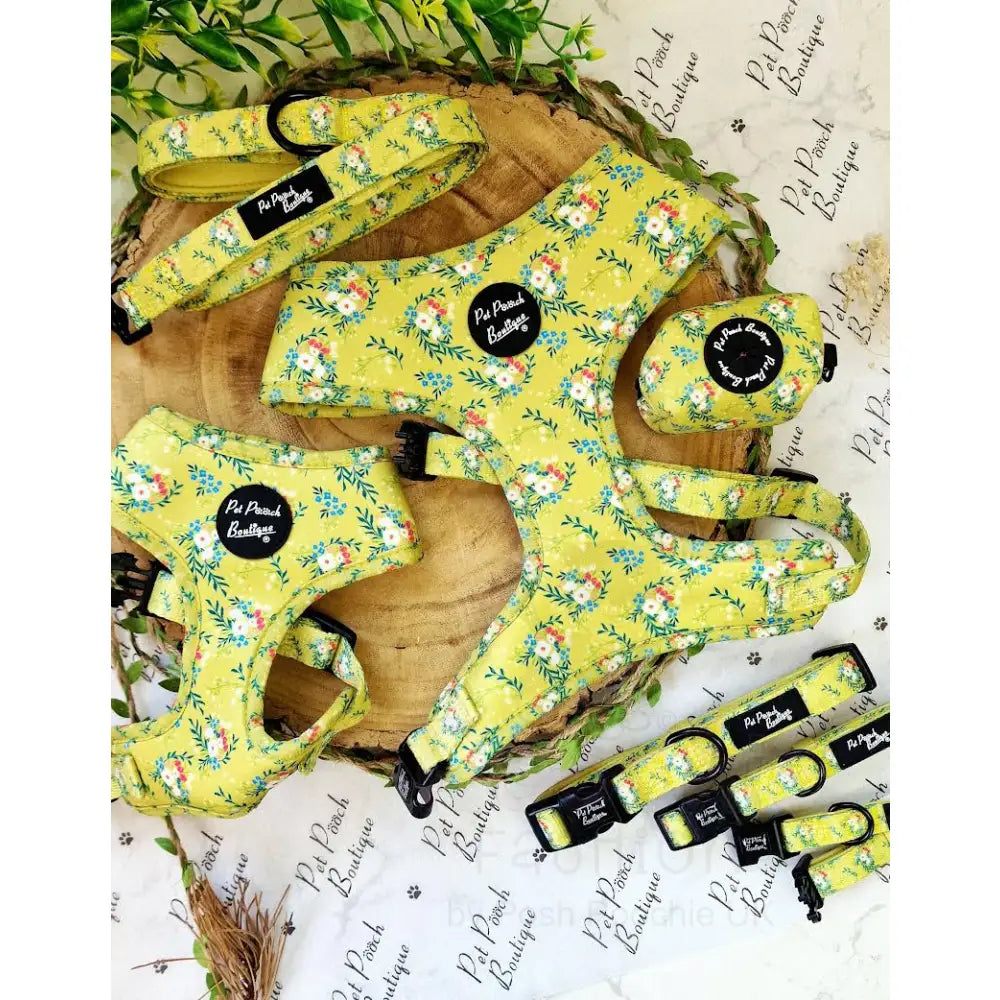 Citrus Meadow Floral Dog Collar - Pet Pooch - 4