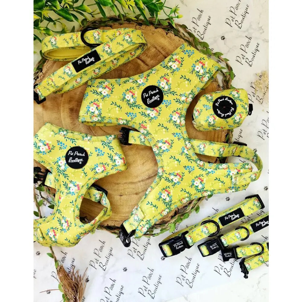 Citrus Meadow Floral Dog Collar - Pet Pooch - 4