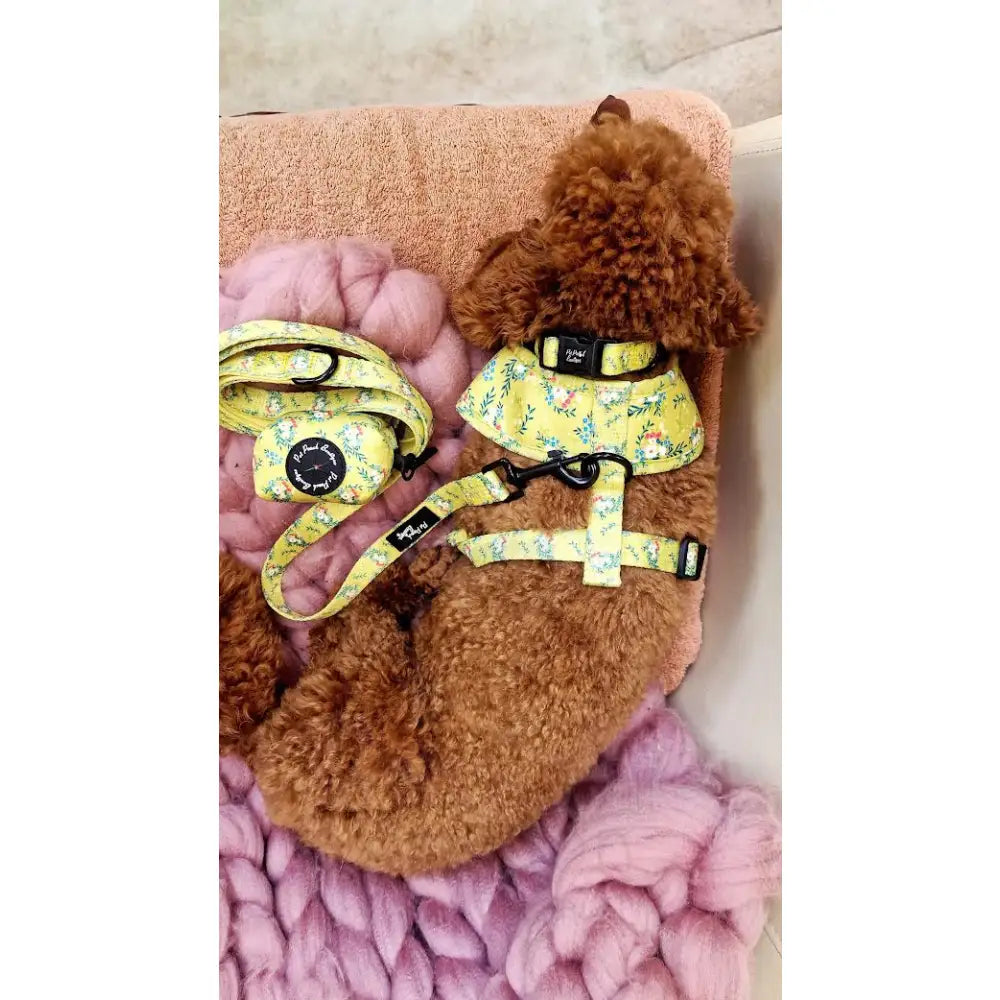 Citrus Meadow Floral Dog Poo Bag Holder - Pet Pooch - 2