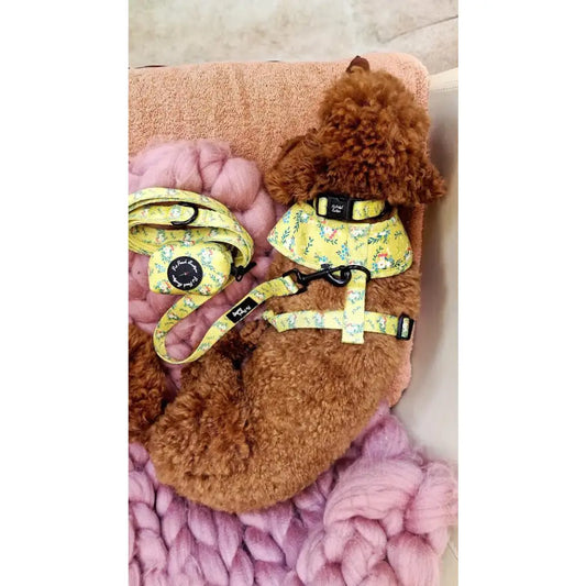 Citrus Meadow Floral Dog Poo Bag Holder - Pet Pooch - 2