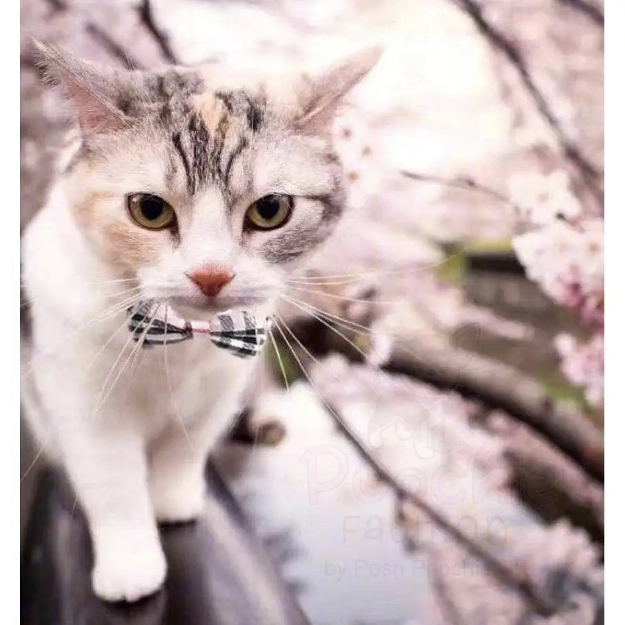 Classic Pink Tartan Plaid Cat Collar - Posh Catz - 3