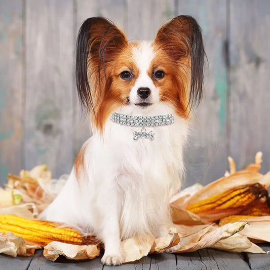 Clear Rhinestone Crystal Pet Necklace with Bone Pendant - Posh Pawz - 2