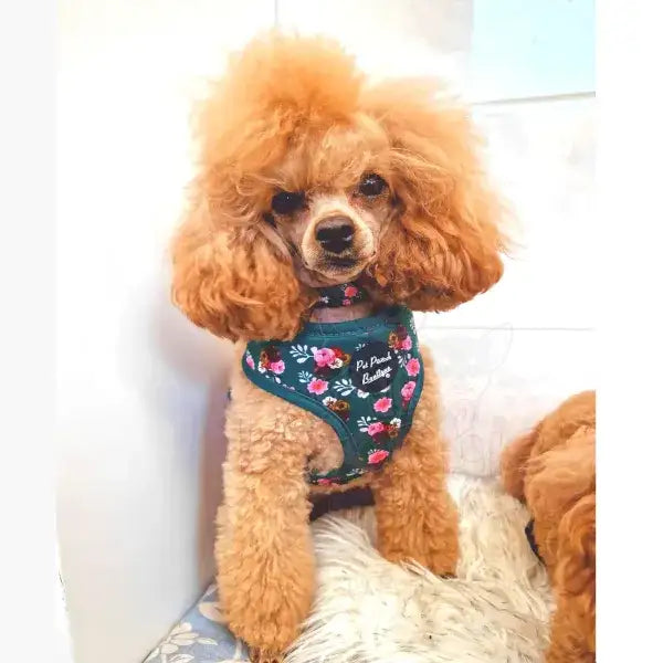 Clover Green Vintage Peonies Dog Collar - Pet Pooch - 3