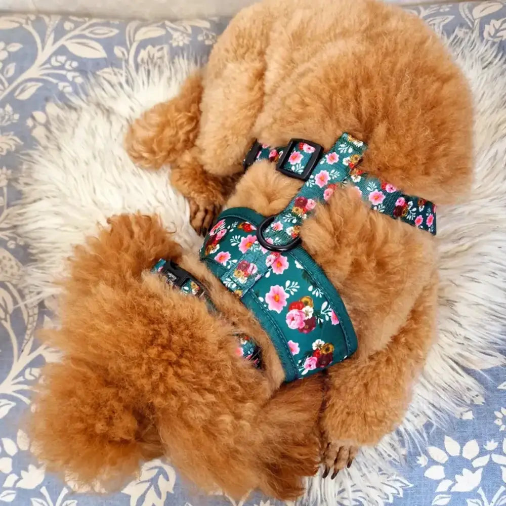 Clover Green Vintage Peonies Dog Harness - Pet Pooch - 6
