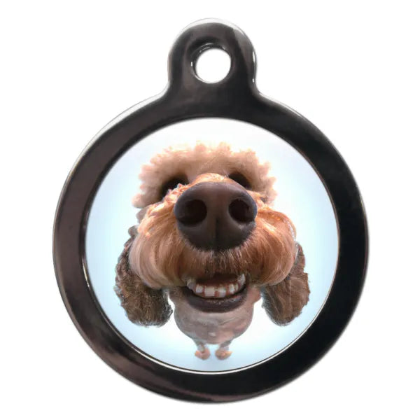 Cockapoo Fish Eye Dog Id Tag Ps Pet Tags 1