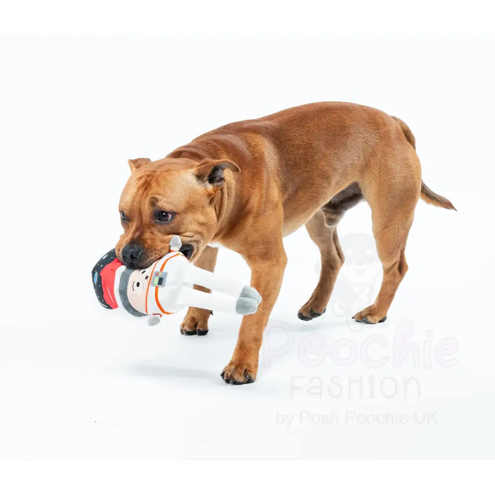 Cosmo Mushroom Fun Guy Dog Toy by Fuzzyard - Fuzzyard - 2