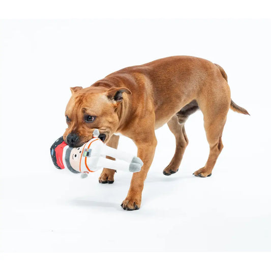 Cosmo Mushroom Fun Guy Dog Toy by Fuzzyard - Fuzzyard - 2